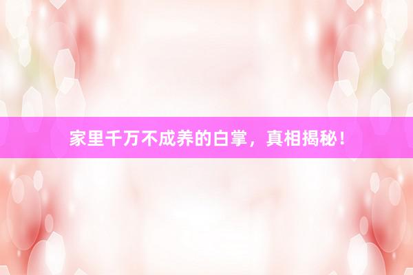 家里千万不成养的白掌，真相揭秘！