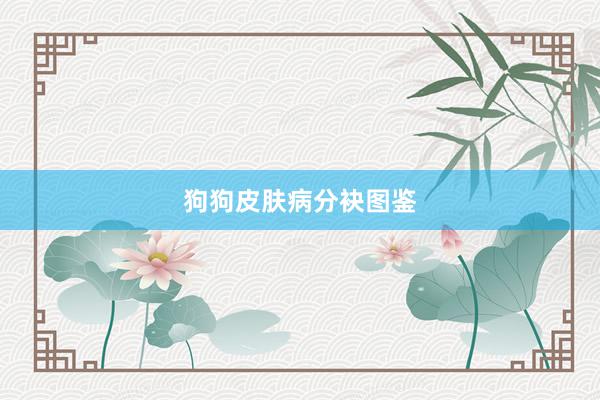 狗狗皮肤病分袂图鉴